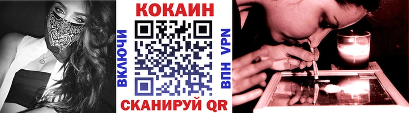 купить закладку  Злынка  COCAIN Columbia 