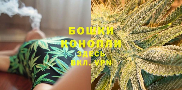 PSILOCYBIN Горнозаводск