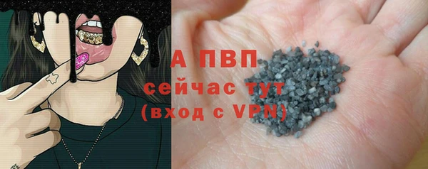 стаф Магас