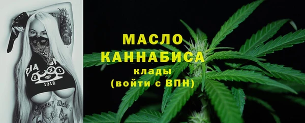 стаф Магас
