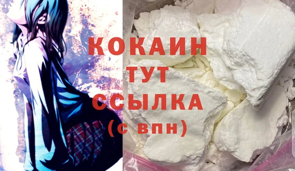 стаф Магас