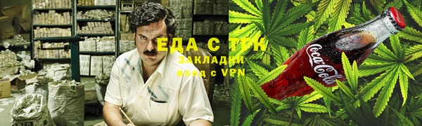 стаф Магас
