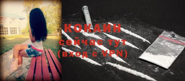 стаф Магас